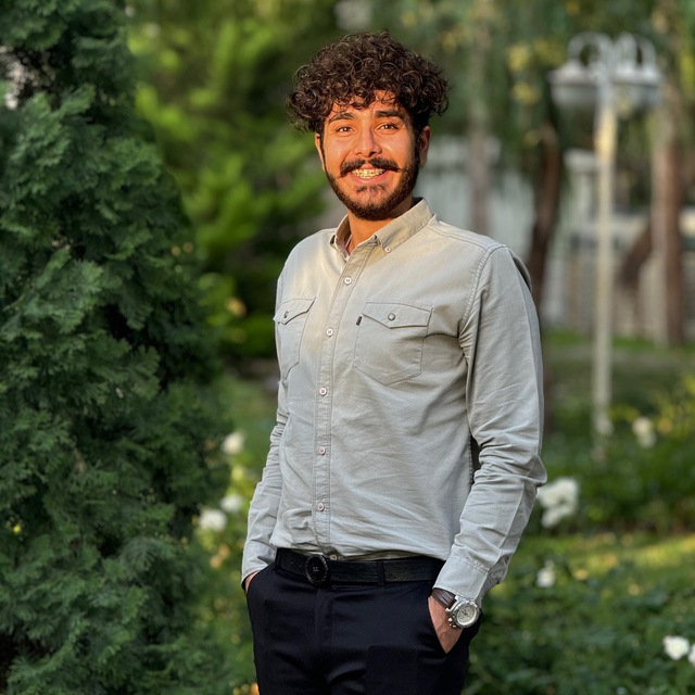 امیرمحمد سید عطار